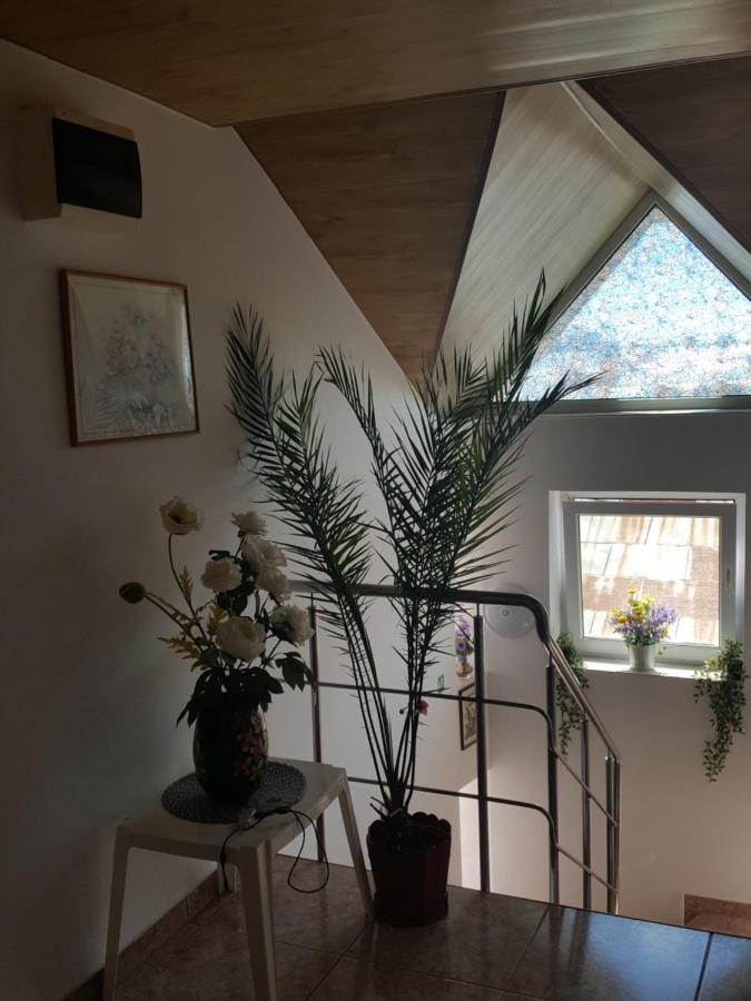 מלון Vila Liz אפורי נורד מראה חיצוני תמונה