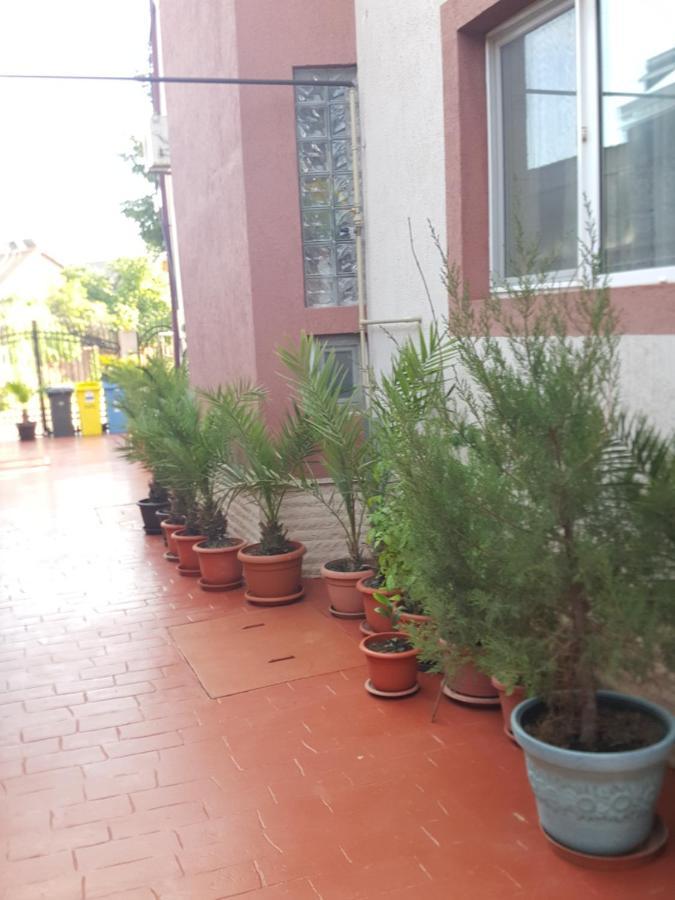מלון Vila Liz אפורי נורד מראה חיצוני תמונה
