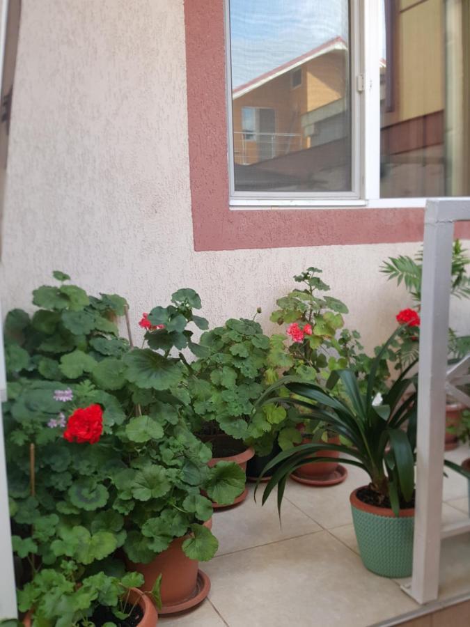 מלון Vila Liz אפורי נורד מראה חיצוני תמונה