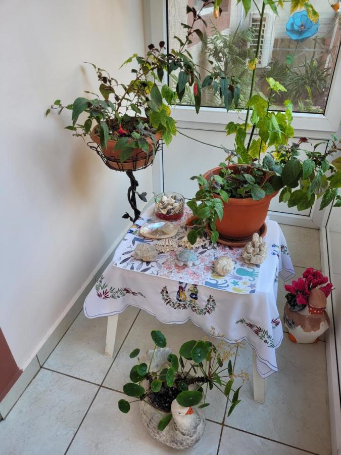 מלון Vila Liz אפורי נורד מראה חיצוני תמונה